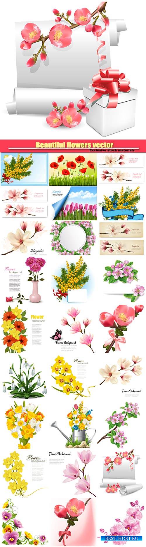 Beautiful flowers vector, daffodils, orchids, magnolia, spring flowers