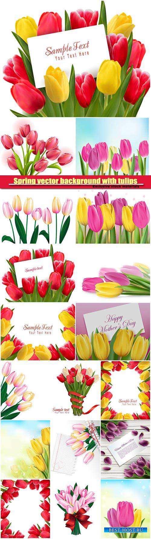 Spring vector background with tulips