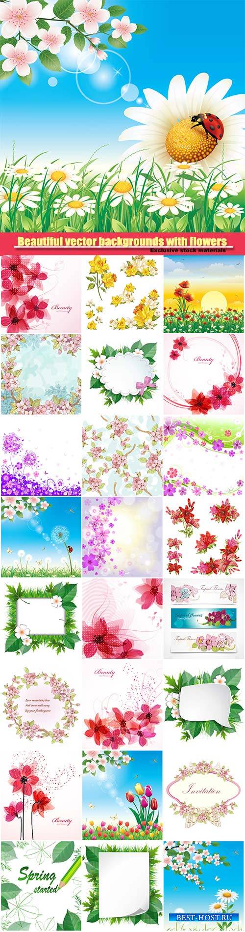 Beautiful vector backgrounds with different flowers