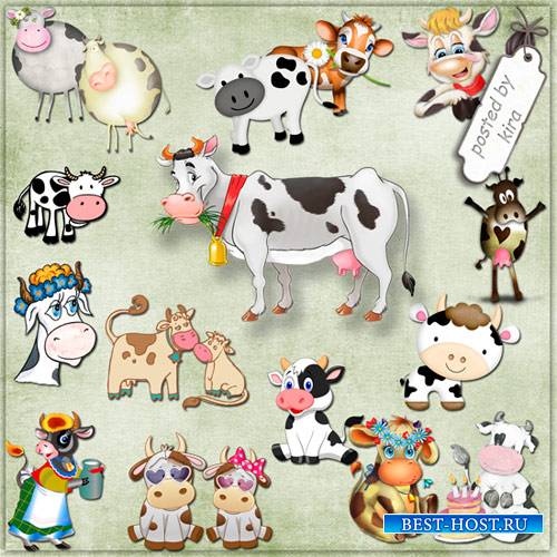Клипарт - Коровы, коровки и бычки в png