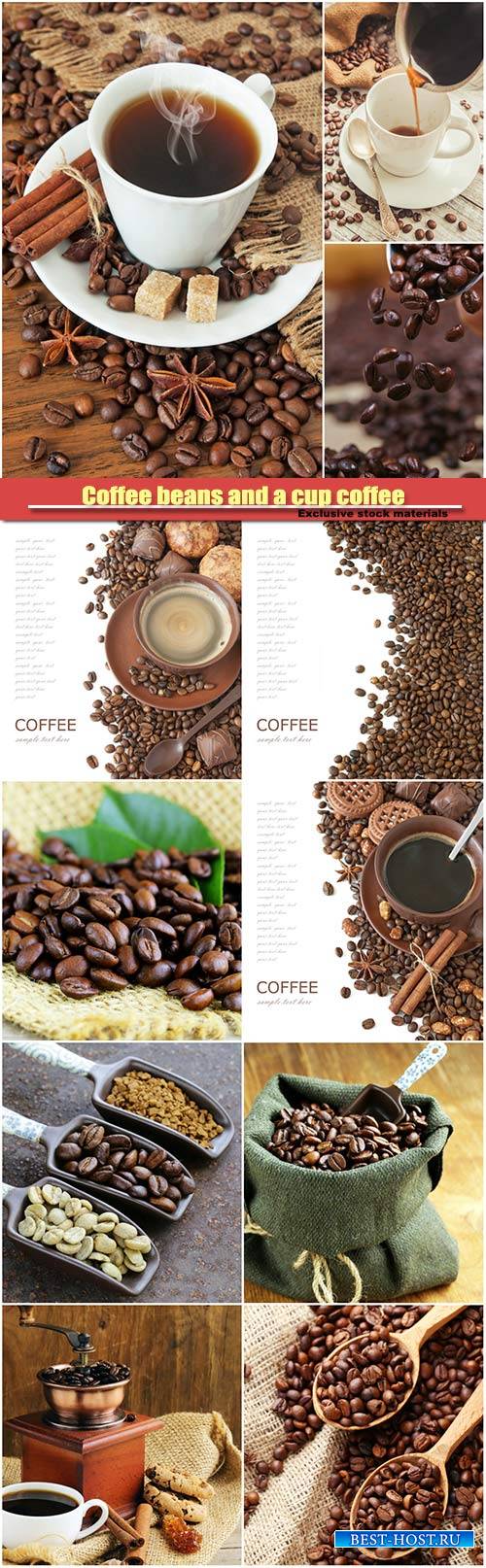 Coffee beans and a cup of fragrant coffee