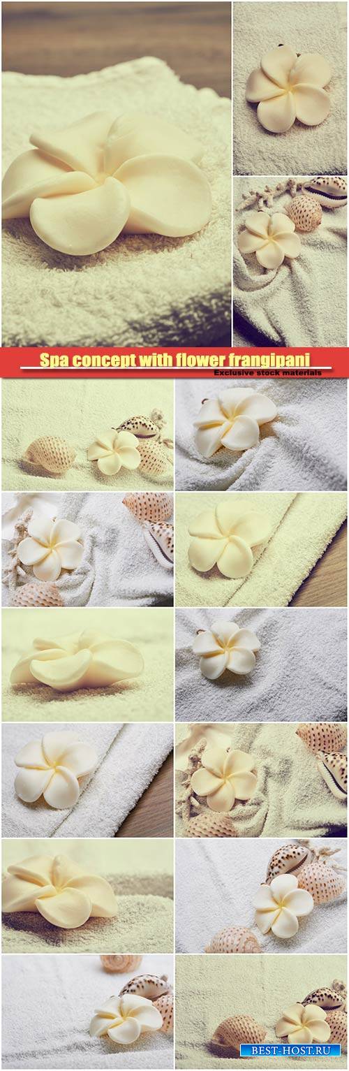 Spa concept with flower frangipani