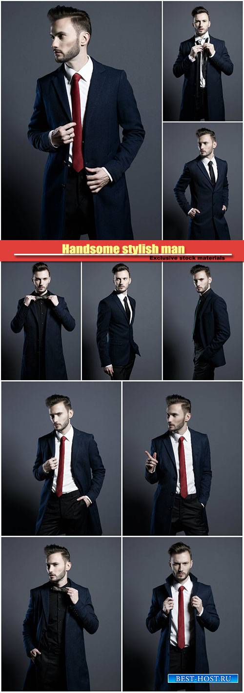 Handsome stylish man