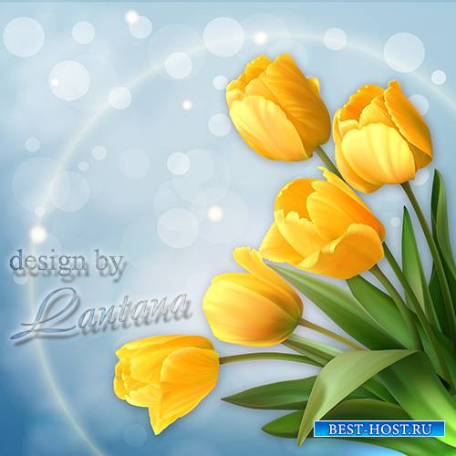 PSD исходник - Тюльпаны поют о весне мелодию желтого света