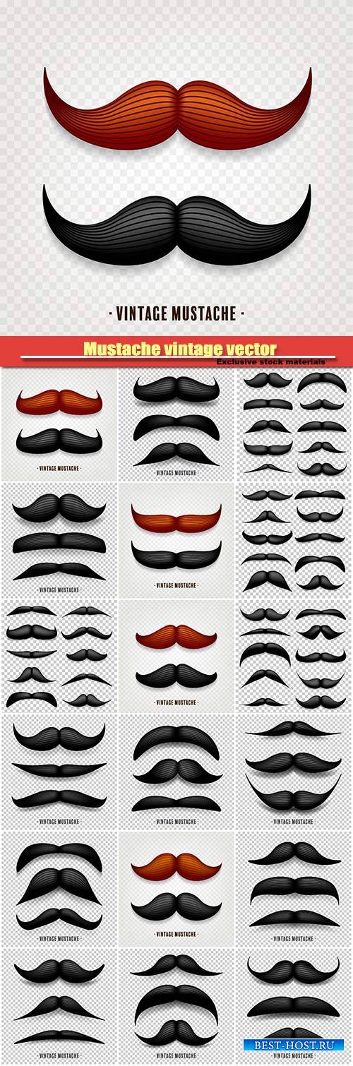Mustache isolated on white vector background