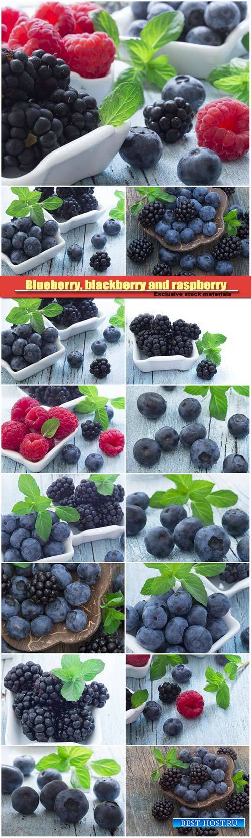 Blueberry, blackberry and raspberry