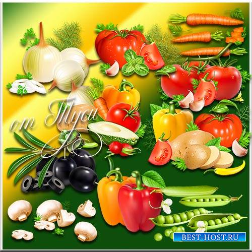 Изобилие овощей для вегетарианцев - Клипарт