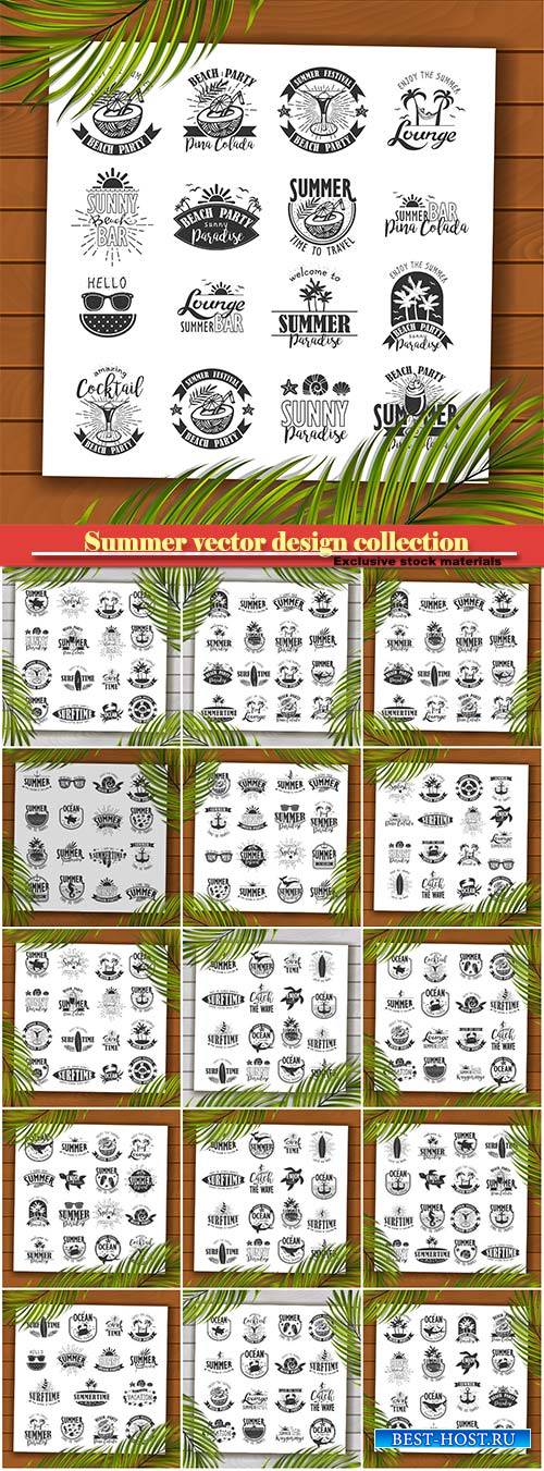 Summer vector typography design collection