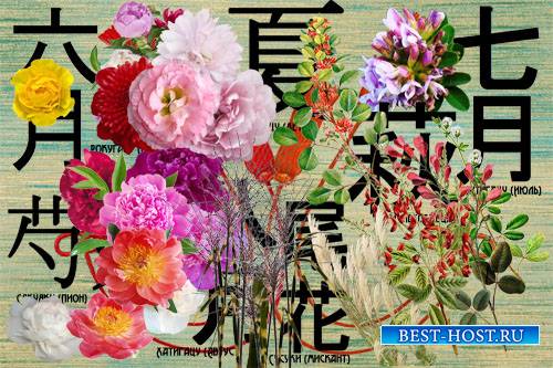 Клипарт Растения - японские символы летних месяцев