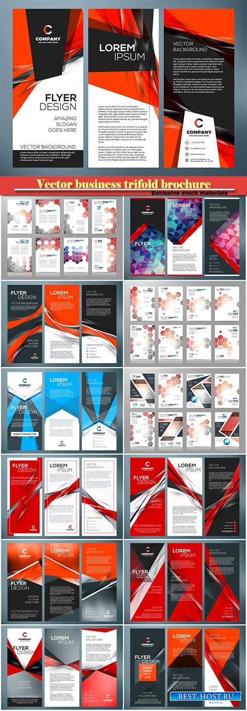 Vector business trifold brochure or banner template