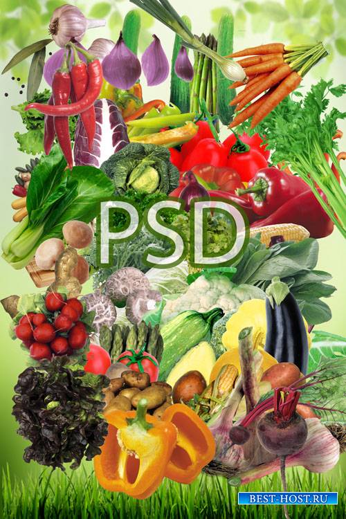 Сочное ассорти зелени и овощей в PSD
