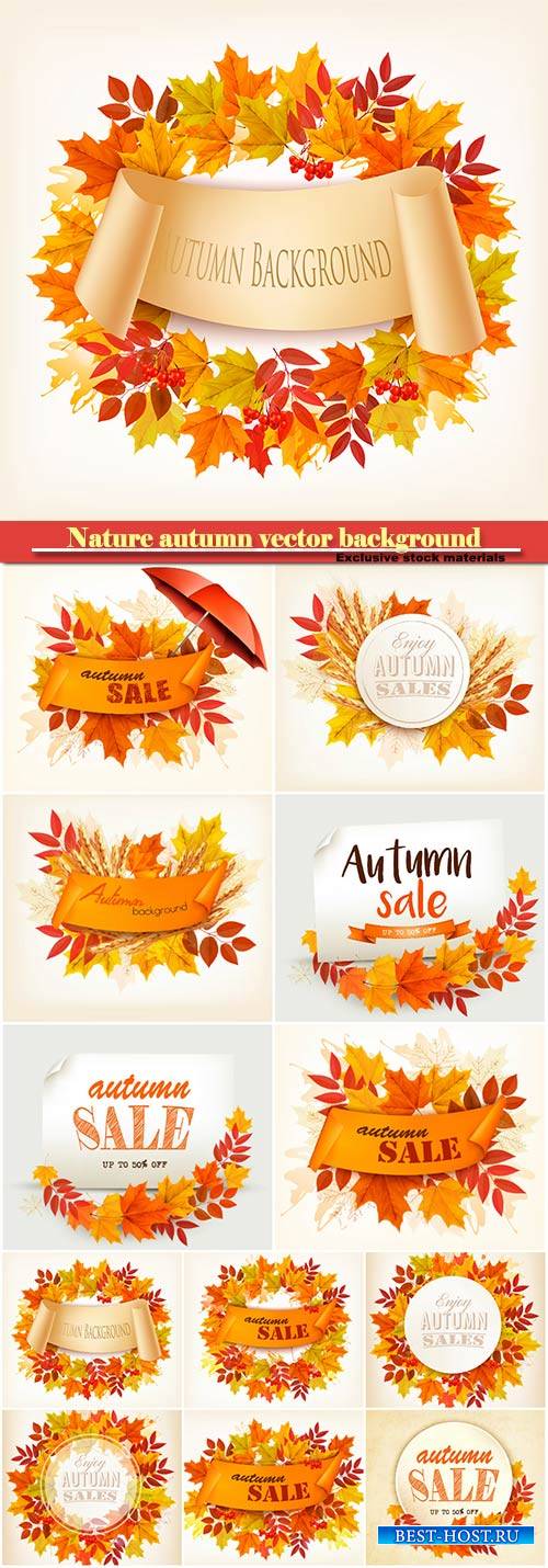 Nature autumn vector background with colorful leaves