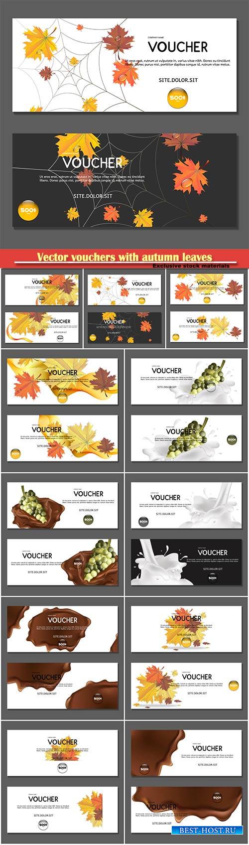 Vector vouchers with autumn leaves and grapes