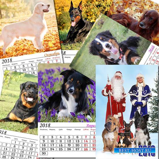 Перекидной календарь на 2018 год - Породы собак