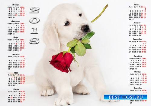Календарь - Красивый щенок с розой