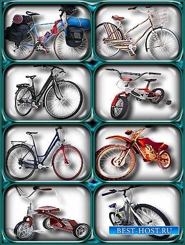 Png картинки - Велосипеды