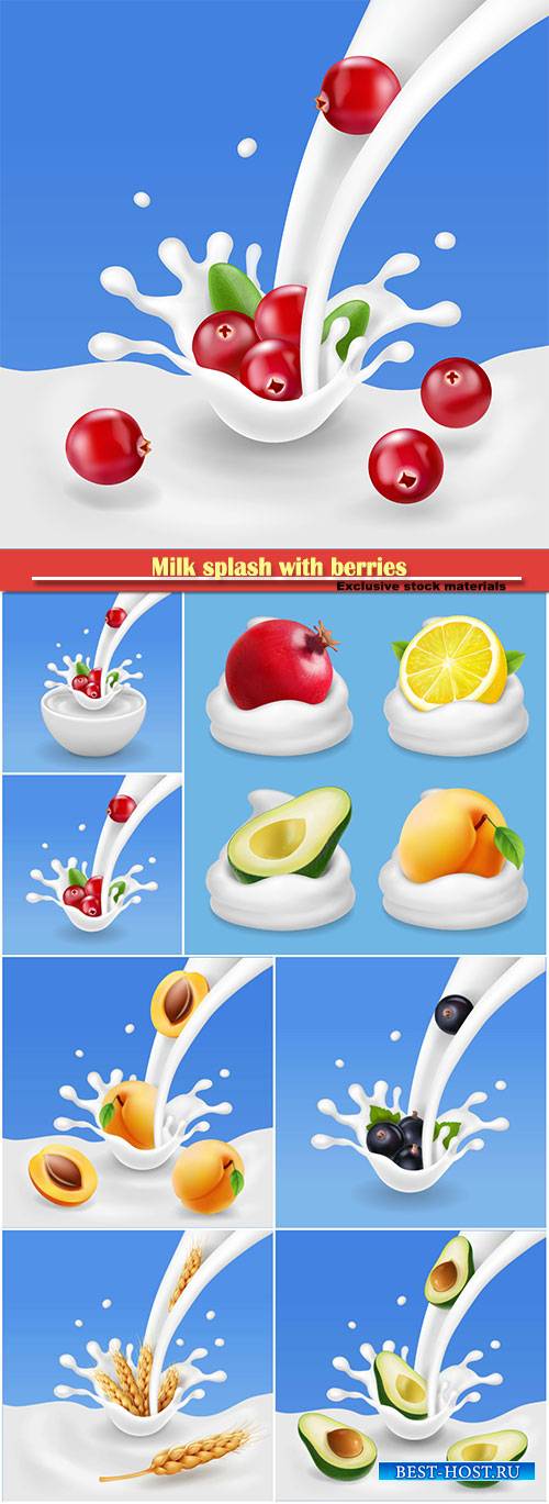 Milk splash with berries, vector dairy products advertising template