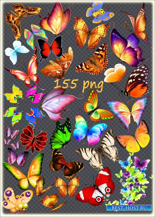 PNG клипарт без фона - Коллекция бабочек