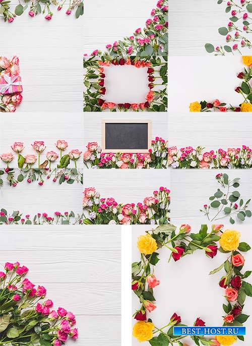 Весенние фоны с розами / Spring backgrounds with roses
