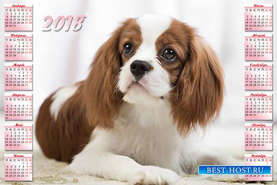 Календарь на 2018 год - Милая собачка