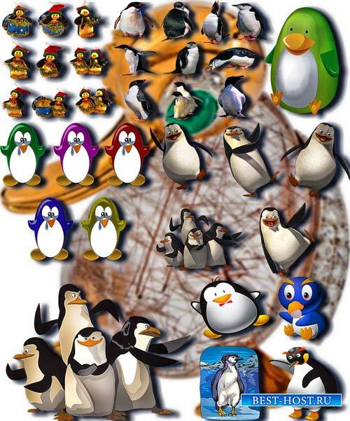 Коллекция Png клипартов - Веселые пингвины