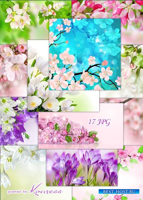 Подборка цветочных jpg фонов для дизайна - Весенние цветы