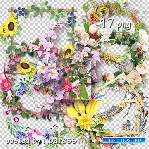 Подборка цветочных png рамок-вырезов для дизайна - Цветочная коллекция 2