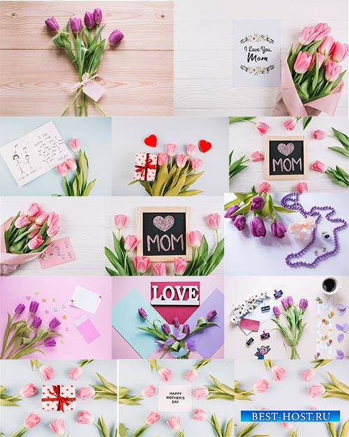 Фоны с тюльпанами для поздравлений / Backgrounds with tulips for congratula ...
