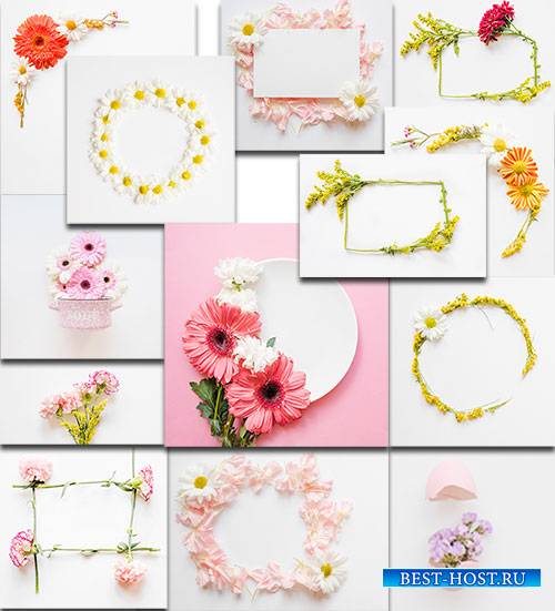 Цветы на белом фоне - Клипарт / Flowers on a white background - Clipart