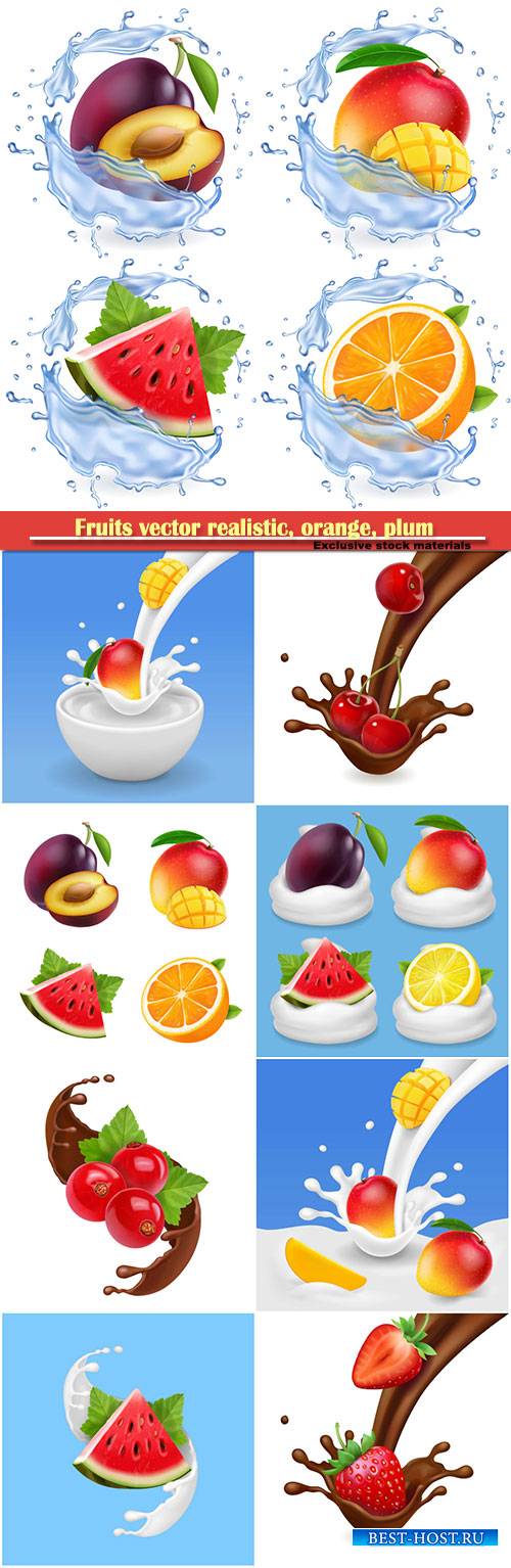 Fruits vector realistic, orange, plum, watermelon and mango set vector illu ...