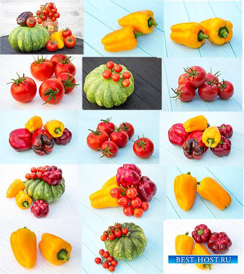 Овощи - томаты, перец, тыква - Клипарт / Vegetables - tomatoes, pepper, pumpkin - Clipart