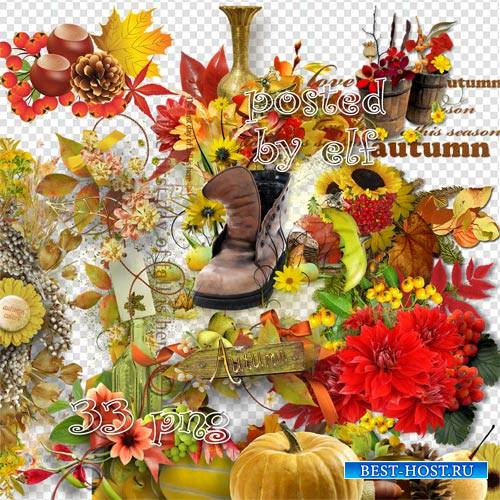 Осенние элементы и кластеры без фона – Разноцветная осень
