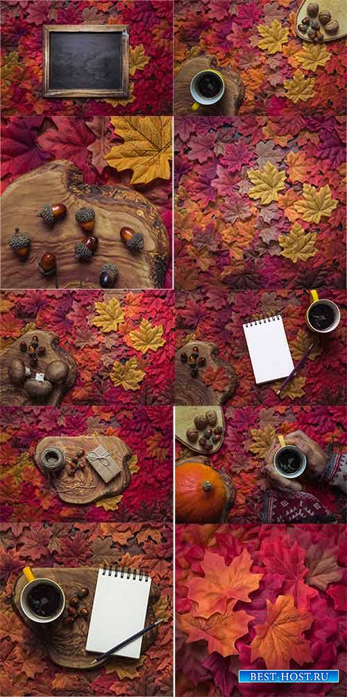 Краски осени -2 - Растровый клипарт / Autumn colors 2 - Raster clipart