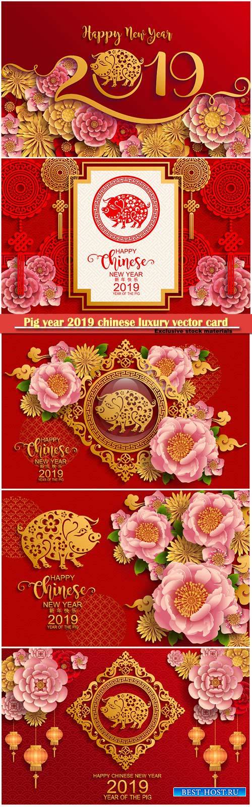 Pig year 2019 chinese luxury vector card # 3