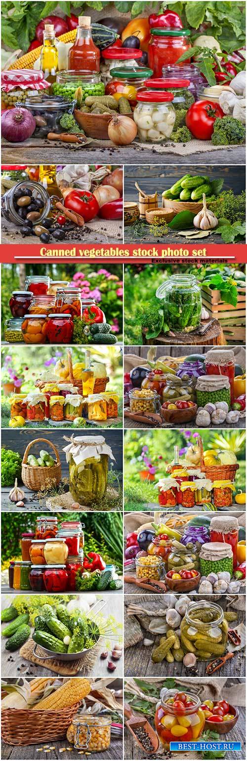 Canned vegetables stock photo set