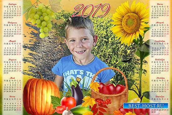 Настенный календарь на 2019 год - Осенний урожай