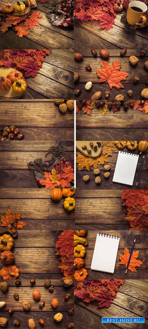 Краски осени -6 - Растровый клипарт / Autumn colors - 6 - Raster clipart