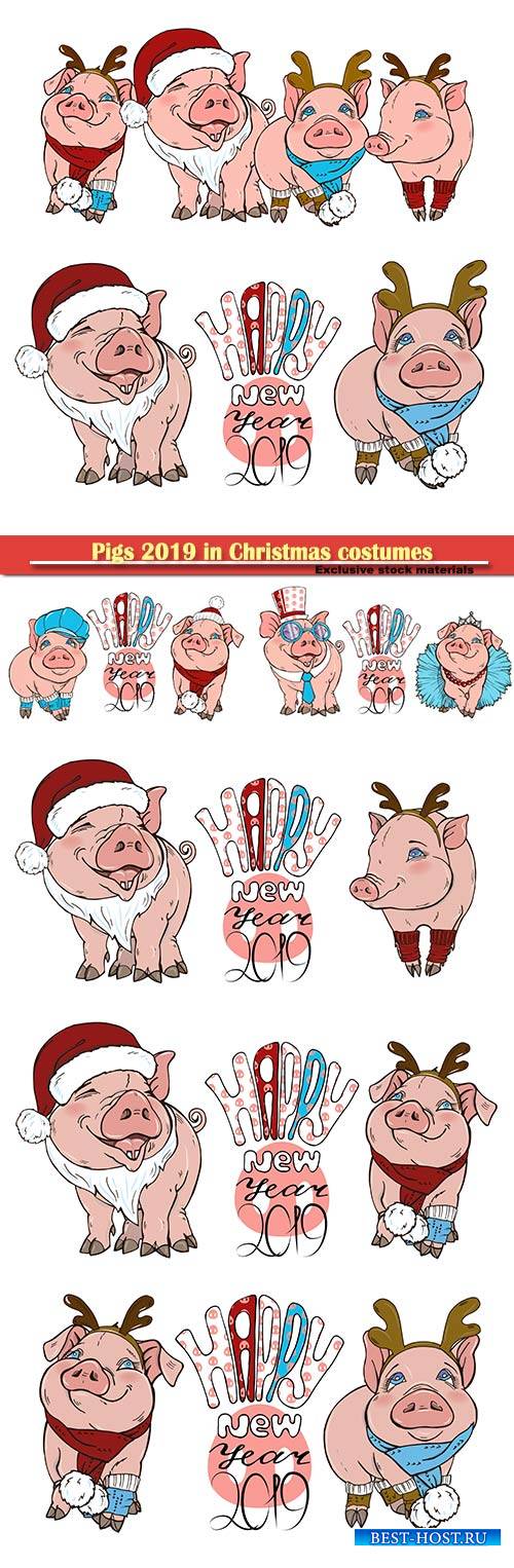 Pigs 2019 in Christmas costumes, vector illustration