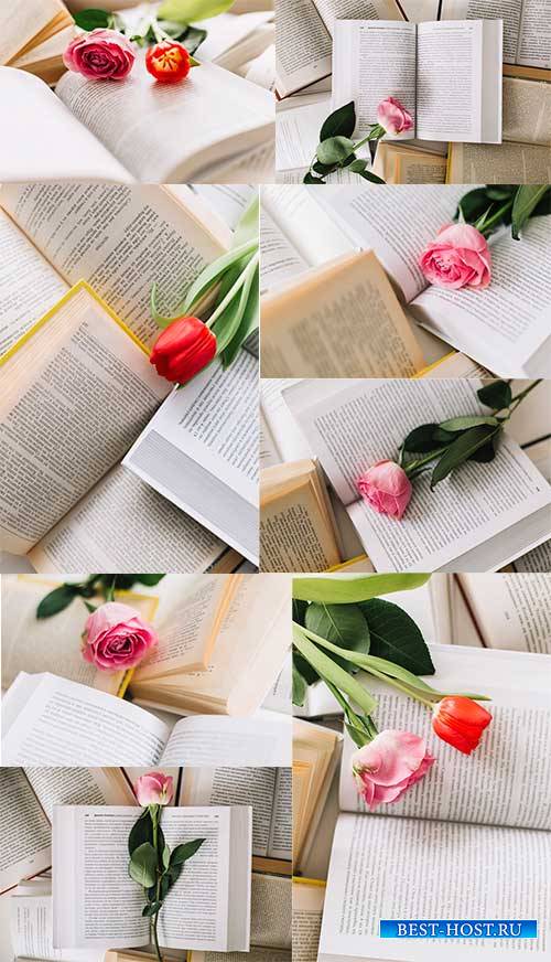 Тюльпан в раскрытой книге - Клипарт / Tulip in an open book - Clipart