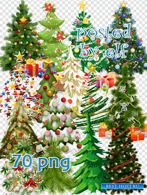 Новогодние и зимние елки - клипарт в PNG