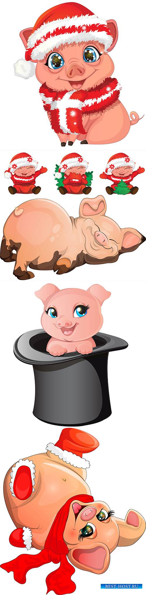 Funny pigs in vector symbol of 2019