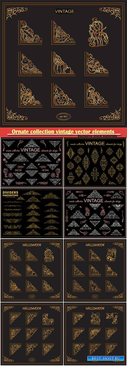 Ornate collection vintage vector elements for design
