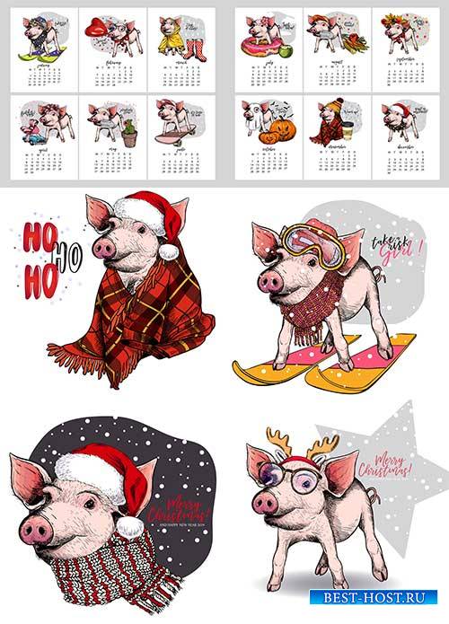 Смешная свинка и календарь 2019 в векторе / Funny pig and calendar 2019 in  ...