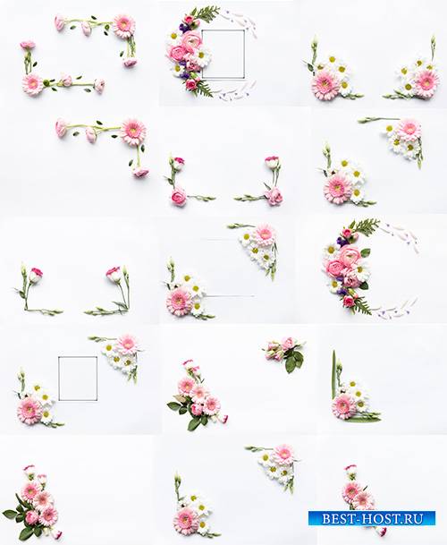 Красивые цветы на белом фоне - Растровый клипарт / Beautiful flowers on whi ...