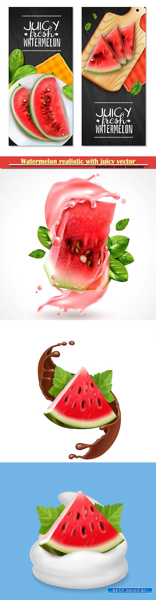Watermelon realistic with juicy vector illustration