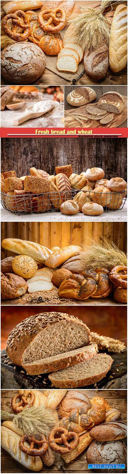 Fresh bread and wheat