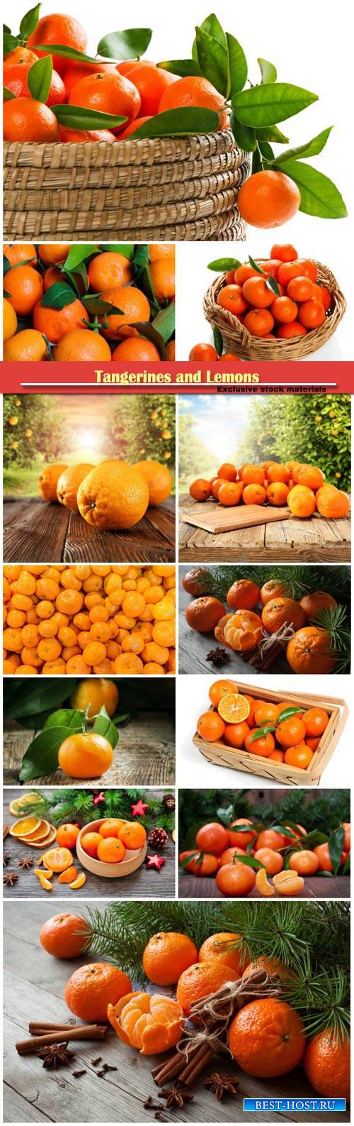 Tangerines and Lemons