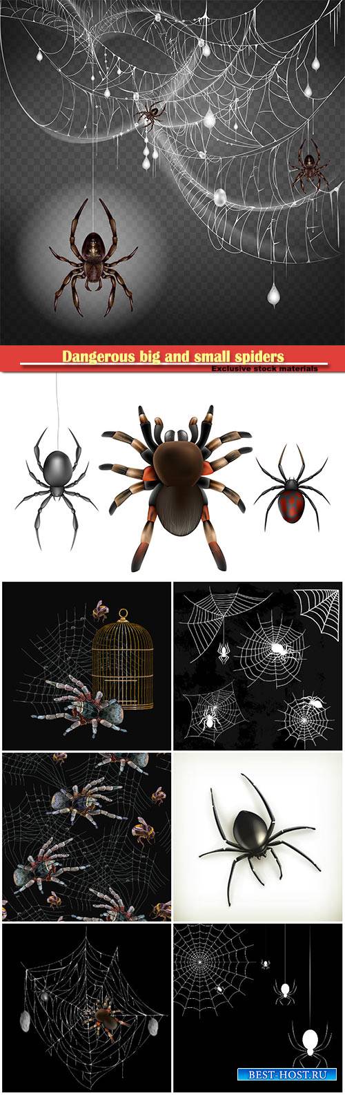 Dangerous, poisonous big and small spiders hanging on thin web string in 3d realistic vector illustration
