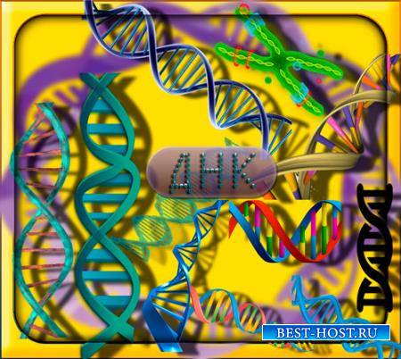 Клипарты без фона - Природное ДНК