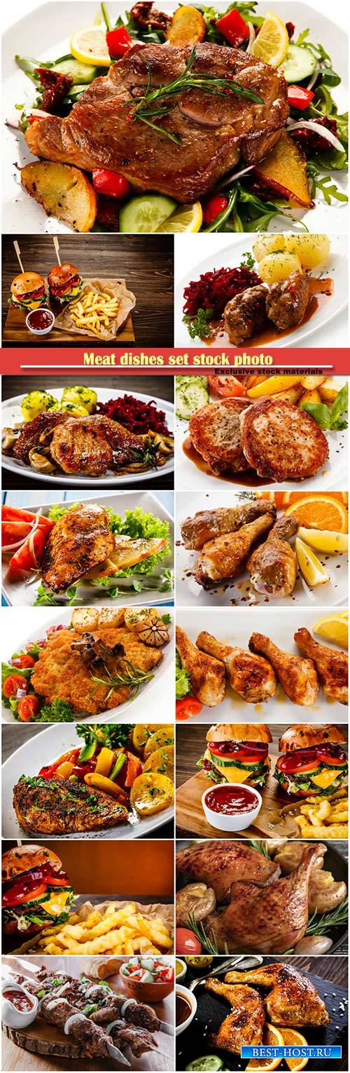 Meat dishes set stock photo